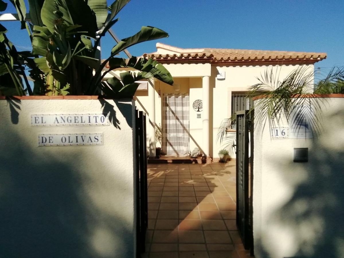 Guest House El Angelito De Olivas Pedreguer Eksteriør bilde